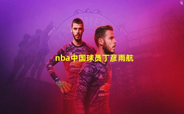 nba中国球员丁彦雨航