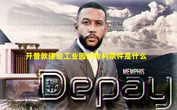 开普敦建设工业园的有利条件是什么
