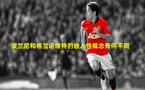 波兰尼和格兰诺维特的嵌入性概念有何不同