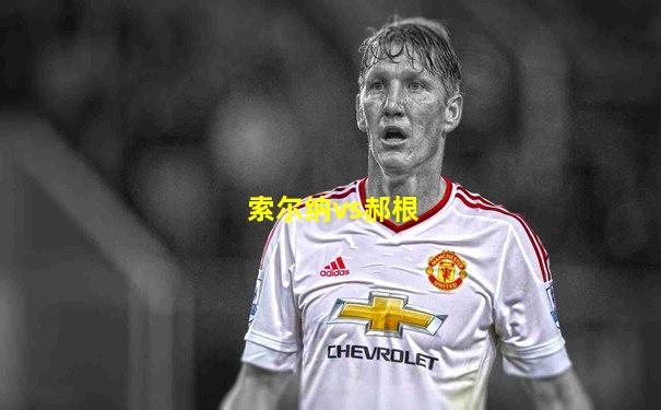 索尔纳vs郝根