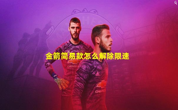 金箭简易款怎么解除限速