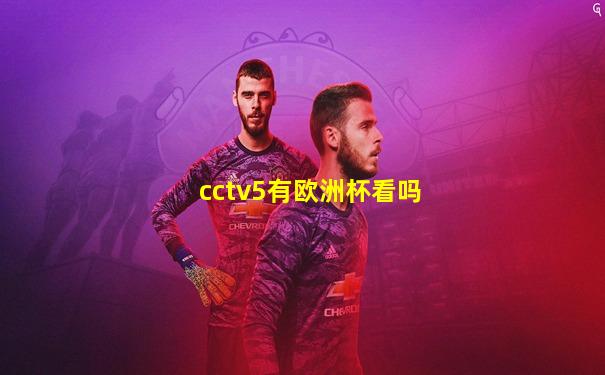 cctv5有欧洲杯看吗
