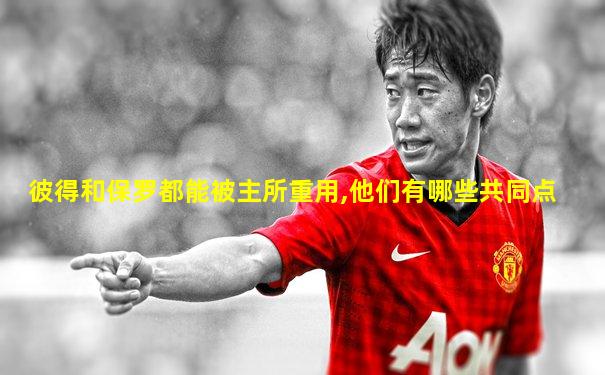 彼得和保罗都能被主所重用,他们有哪些共同点