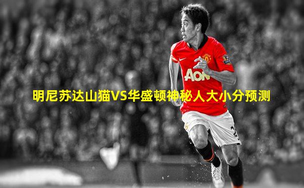 明尼苏达山猫VS华盛顿神秘人大小分预测