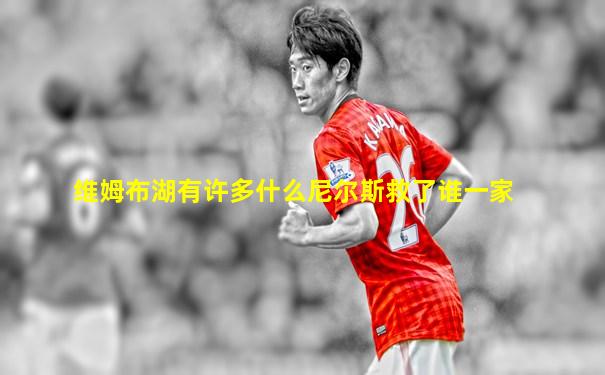 维姆布湖有许多什么尼尔斯救了谁一家